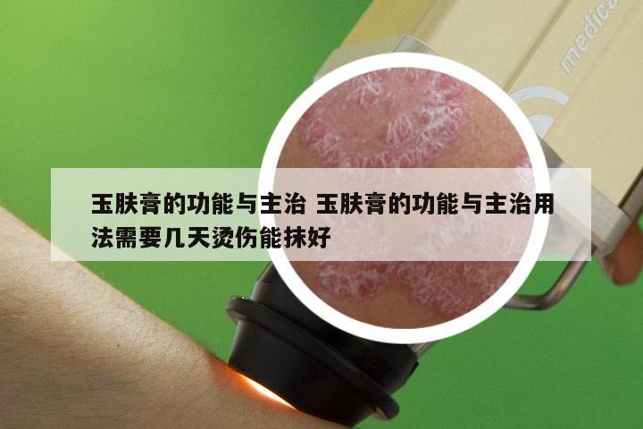 玉肤膏的功能与主治 玉肤膏的功能与主治用法需要几天烫伤能抹好
