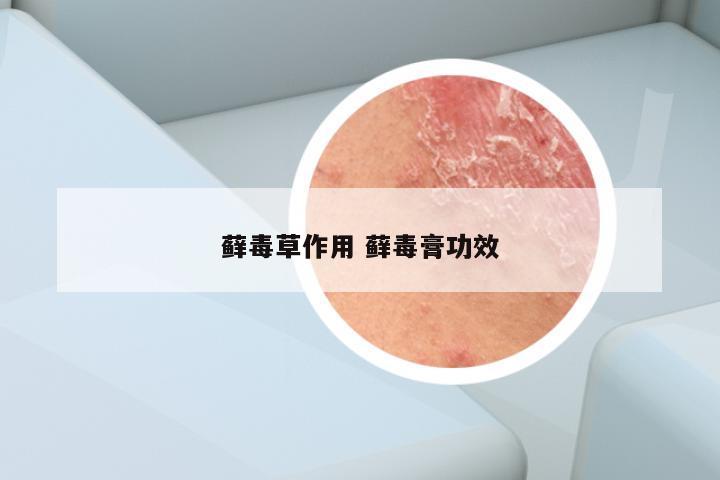 藓毒草作用 藓毒膏功效